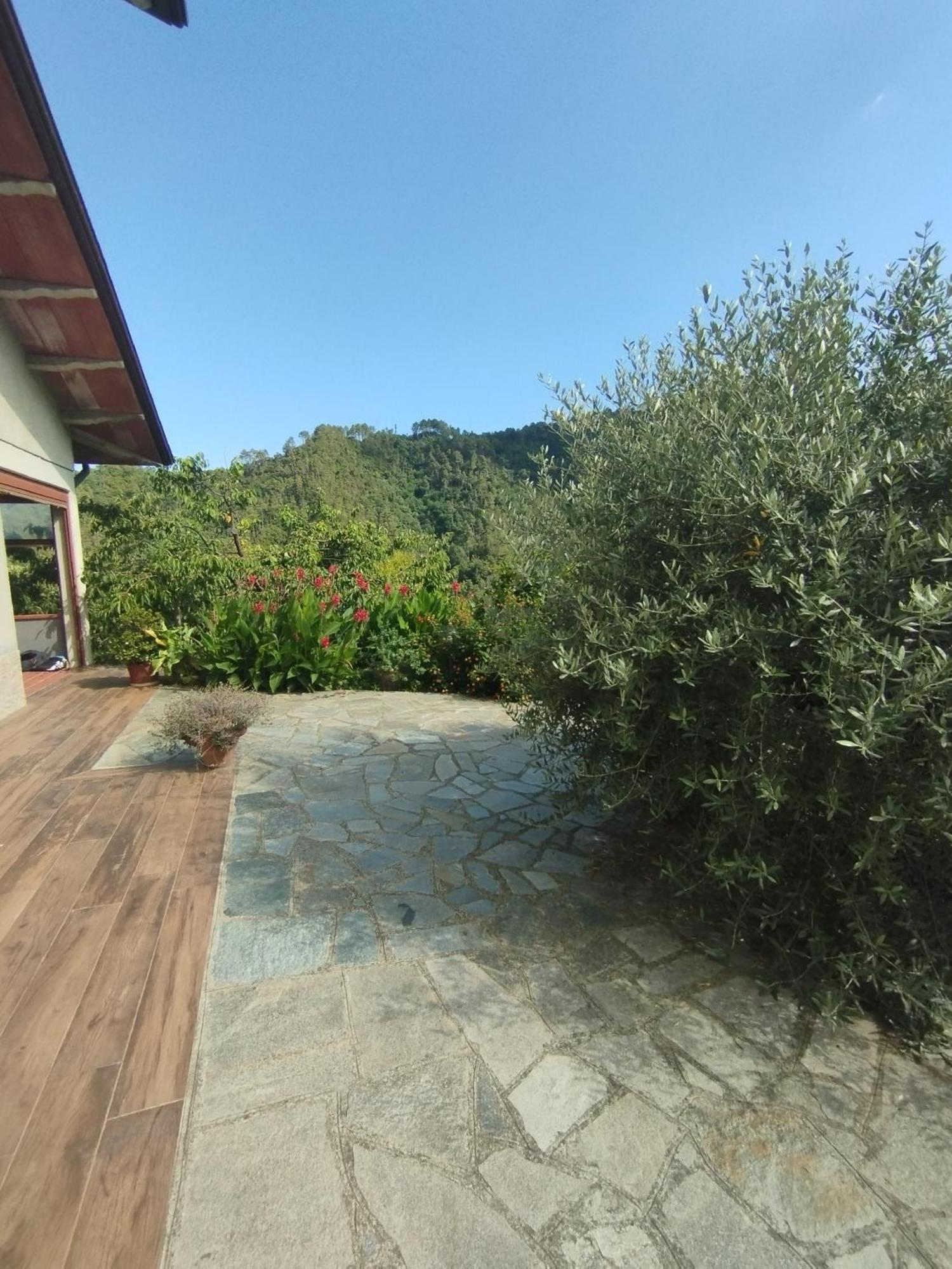 Villa Degli Ulivi Tivegna Luaran gambar
