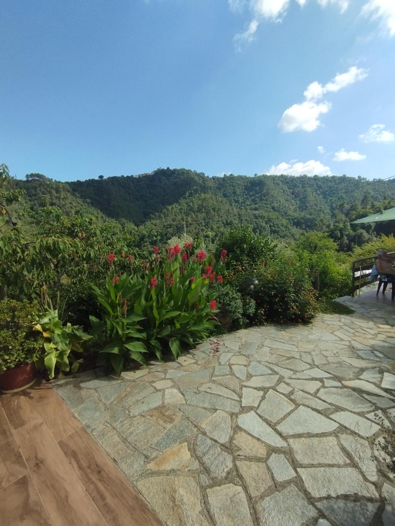 Villa Degli Ulivi Tivegna Luaran gambar