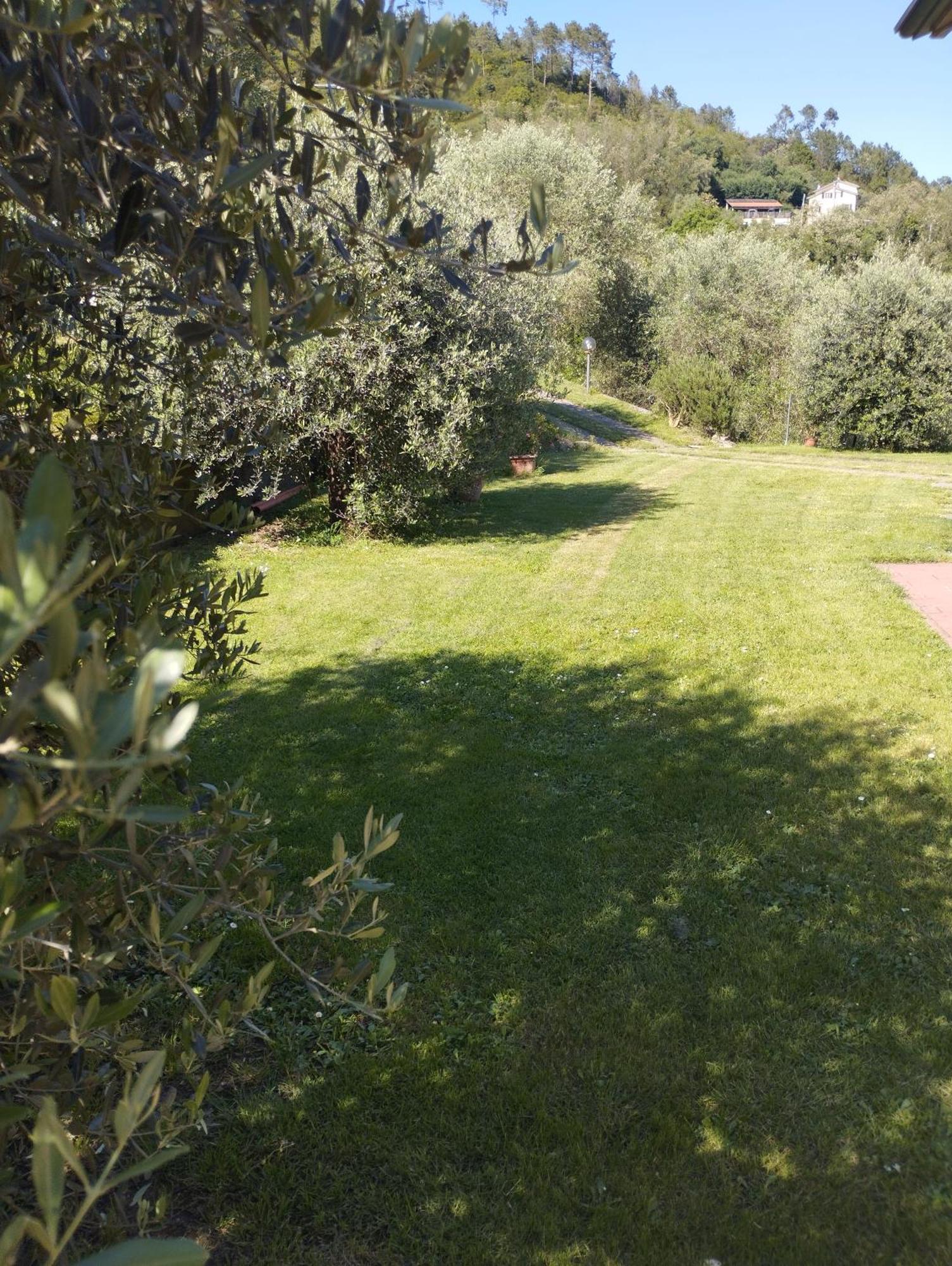 Villa Degli Ulivi Tivegna Luaran gambar