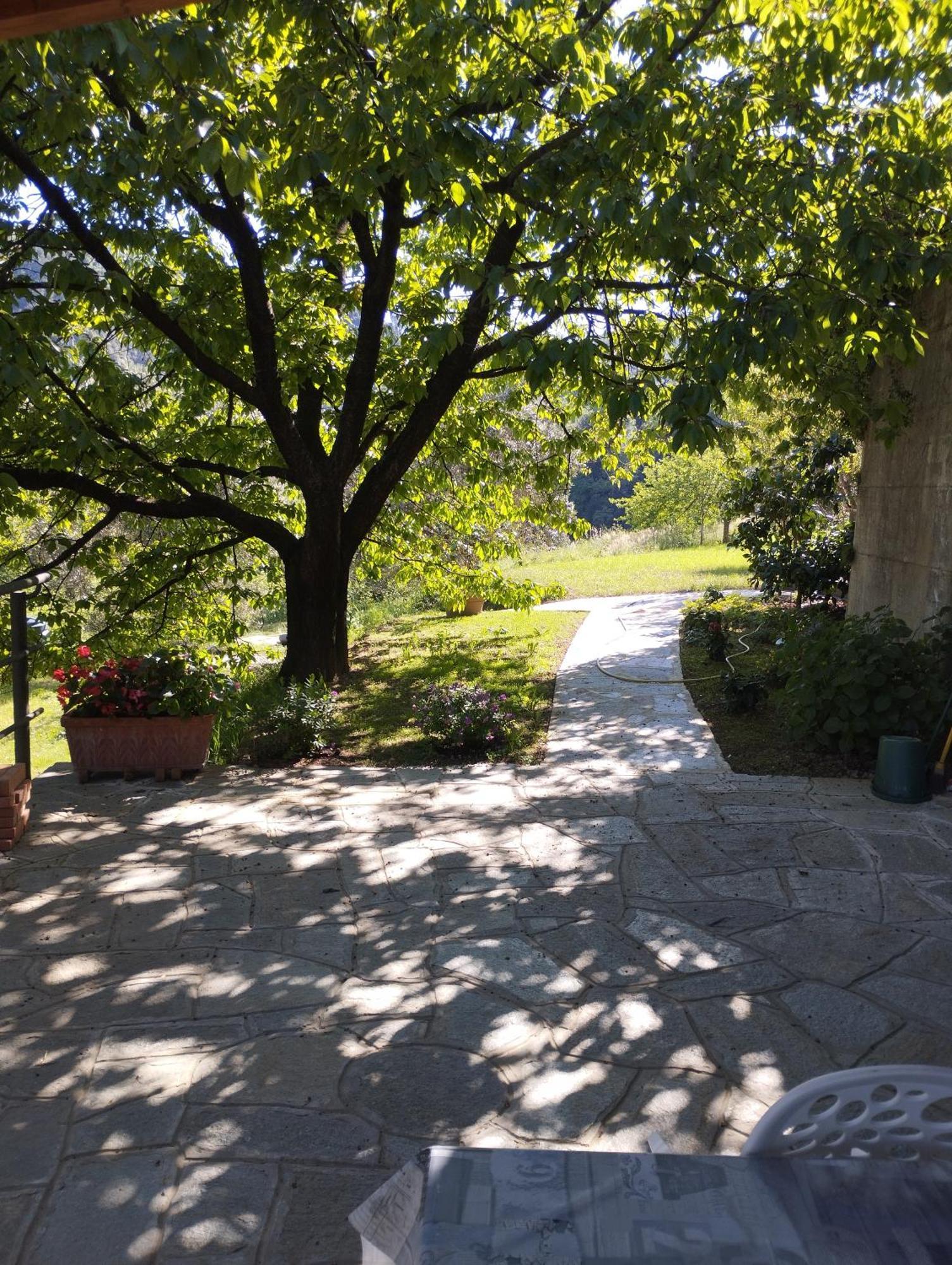Villa Degli Ulivi Tivegna Luaran gambar