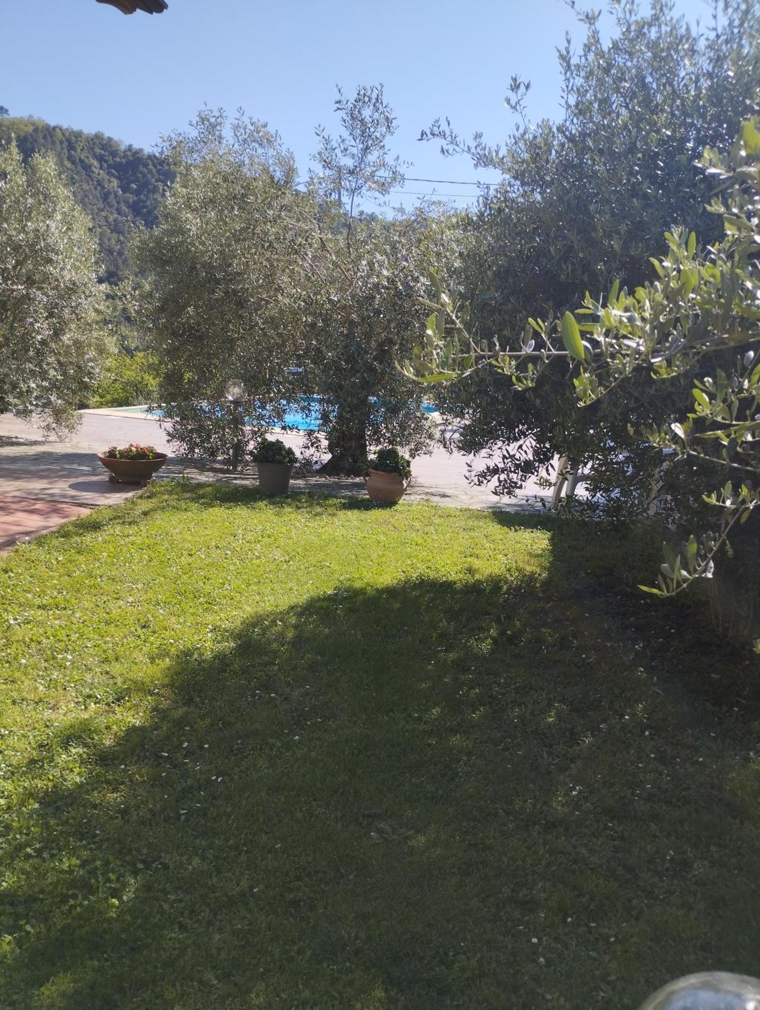 Villa Degli Ulivi Tivegna Luaran gambar